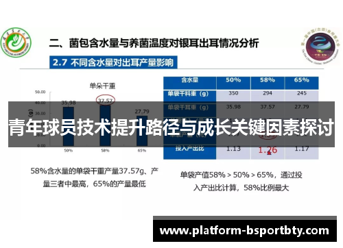 青年球员技术提升路径与成长关键因素探讨